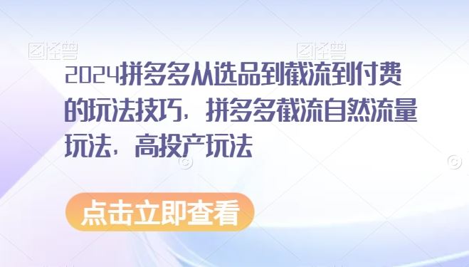 2024拼多多从选品到截流到付费的玩法技巧，拼多多截流自然流量玩法，高投产玩法-讯领网创