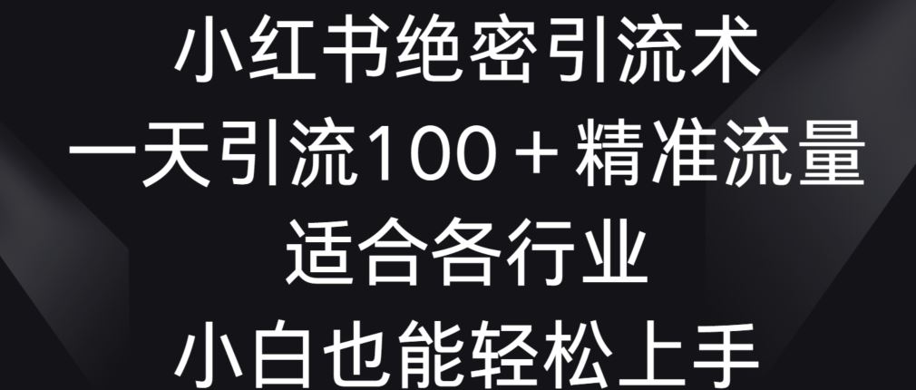 小红书绝密引流术，一天引流100+精准流量，适合各个行业，小白也能轻松上手【揭秘】插图