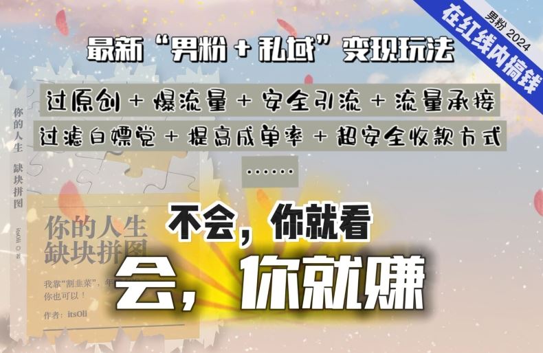 2024，“男粉+私域”还是最耐造、最赚、最轻松、最愉快的变现方式【揭秘】-吾爱自习网