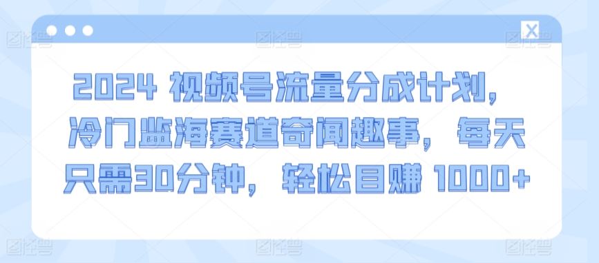 2024视频号流量分成计划，冷门监海赛道奇闻趣事，每天只需30分钟，轻松目赚 1000+【揭秘】-吾爱自习网