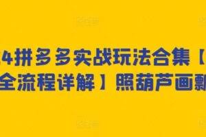 2024拼多多实战玩法合集【0-1全流程详解】照葫芦画瓢