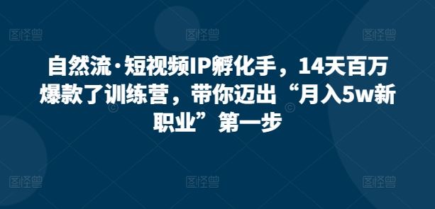 自然流·短视频IP孵化手，14天百万爆款了训练营，带你迈出“月入5w新职业”第一步-吾爱自习网