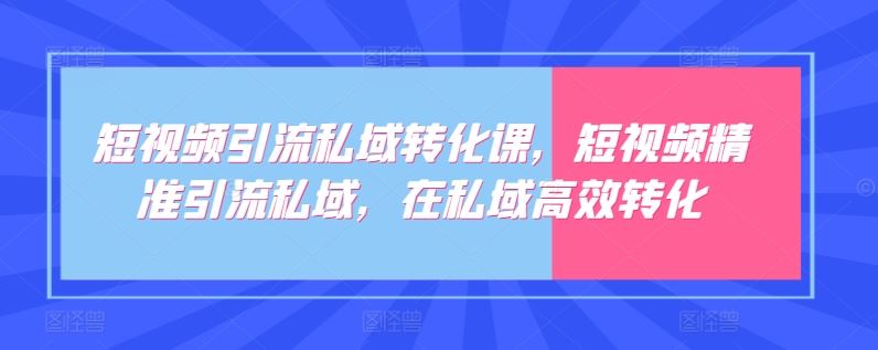 短视频引流私域转化课，短视频精准引流私域，在私域高效转化插图