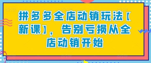 拼多多全店动销玩法【新课】，告别亏损从全店动销开始插图