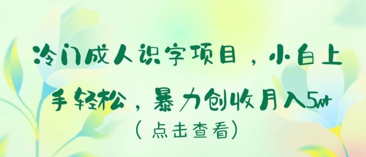 冷门成人识字项目，小白上手轻松，暴力创收月入5w+【揭秘】-吾爱自习网