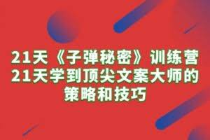 （10209期）21天《子弹秘密》训练营，21天学到顶尖文案大师的策略和技巧