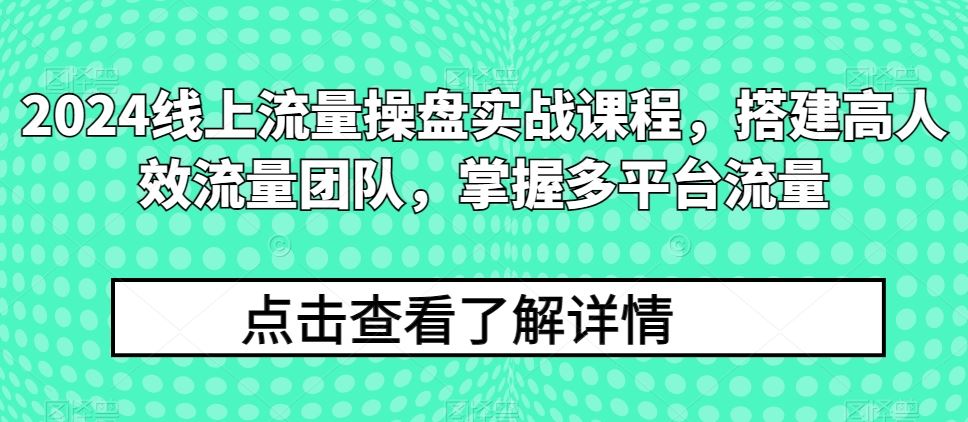 2024线上流量操盘实战课程，搭建高人效流量团队，掌握多平台流量-吾爱自习网