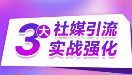 3大社媒引流实战强化，多渠道站外引流，高效精准获客，订单销售额翻倍增长-吾爱自习网