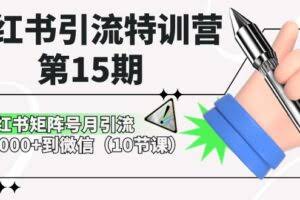 小红书引流特训营第15期，小红书矩阵号月引流80000+到微信（10节课）