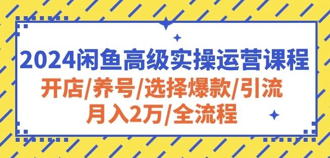 2024闲鱼高级实操运营课程：开店/养号/选择爆款/引流/月入2万/全流程-吾爱自习网