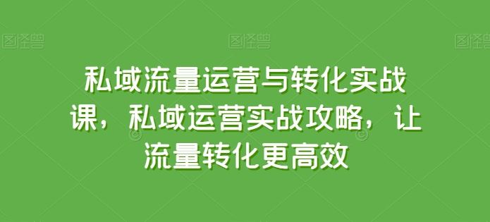 私域流量运营与转化实战课，私域运营实战攻略，让流量转化更高效-吾爱自习网