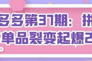 拼多多第37期：拼多多单品裂变起爆2.0