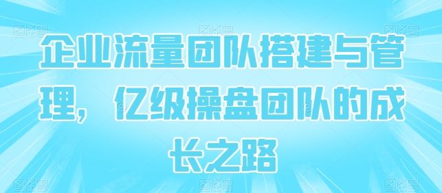 企业流量团队搭建与管理，亿级操盘团队的成长之路-吾爱自习网