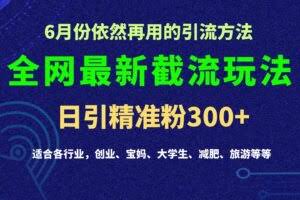 2024全网最新截留玩法，每日引流突破300+