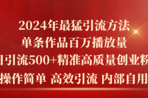 （10920期）2024年最猛暴力引流方法，单条作品百万播放 单日引流500+高质量精准创业粉