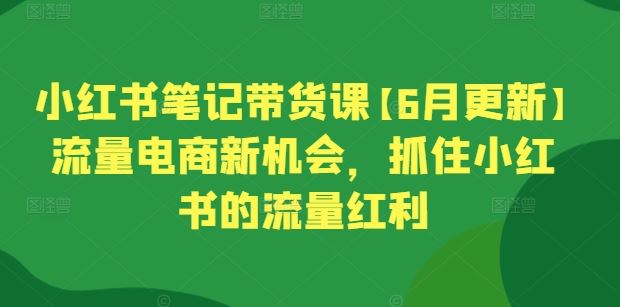 小红书笔记带货课【6月更新】流量电商新机会，抓住小红书的流量红利-吾爱自习网