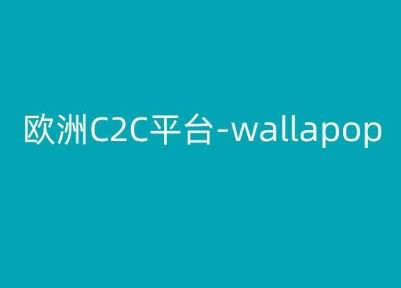 欧洲C2C平台-wallapop-kim跨境电商教程-吾爱自习网