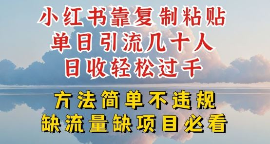 小红书靠复制粘贴单日引流几十人目收轻松过千，方法简单不违规【揭秘】-吾爱自习网