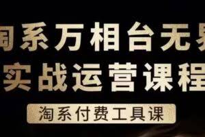 淘系万相台无界实战运营课，淘系付费工具课