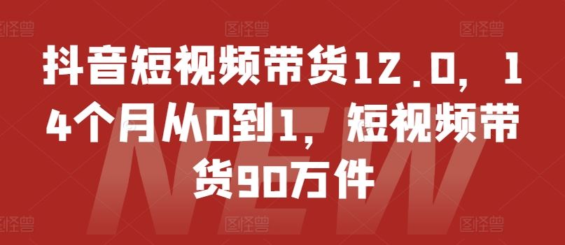 抖音短视频带货12.0，14个月从0到1，短视频带货90万件-吾爱自习网