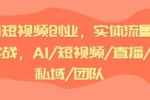 AI短视频创业，实体流量实战，AI/短视频/直播/私域/团队