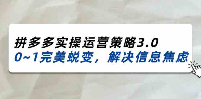 2024-2025拼多多实操运营策略3.0，0~1完美蜕变，解决信息焦虑（38节）