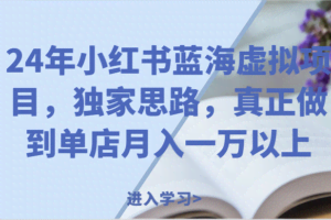 24年小红书蓝海虚拟项目，独家思路，真正做到单店月入一万以上。