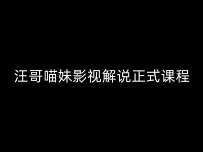 汪哥影视解说正式课程：剪映/PR教学/视解说剪辑5大黄金法则/全流程剪辑7把利器等等-吾爱自习网