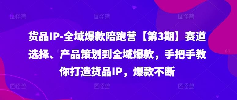 货品IP全域爆款陪跑营【第3期】赛道选择、产品策划到全域爆款，手把手教你打造货品IP，爆款不断