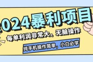 （12130期）2024暴利项目，每单利润非常大，无脑操作，纯手机操作简单，小白必学项目