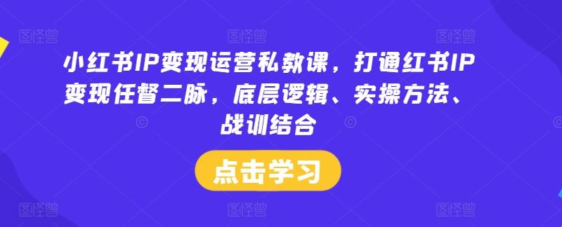 小红书IP变现运营私教课，打通红书IP变现任督二脉，底层逻辑、实操方法、战训结合-吾爱自习网