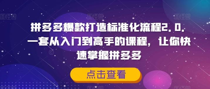 拼多多爆款打造标准化流程2.0，一套从入门到高手的课程，让你快速掌握拼多多-吾爱自习网