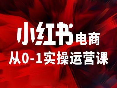 小红书电商从0-1实操运营课，让你从小白到精英-吾爱自习网