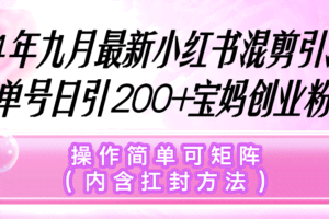 （12530期）小红书混剪引流，单号日引200+宝妈创业粉，操作简单可矩阵（内含扛封…