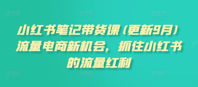 小红书笔记带货课(更新9月)流量电商新机会，抓住小红书的流量红利-智慧宝库