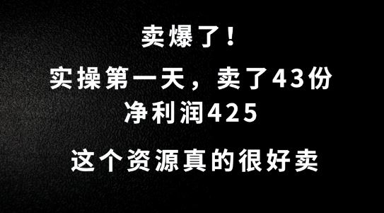 这个资源，需求很大，实操第一天卖了43份，净利润425【揭秘】-智慧宝库