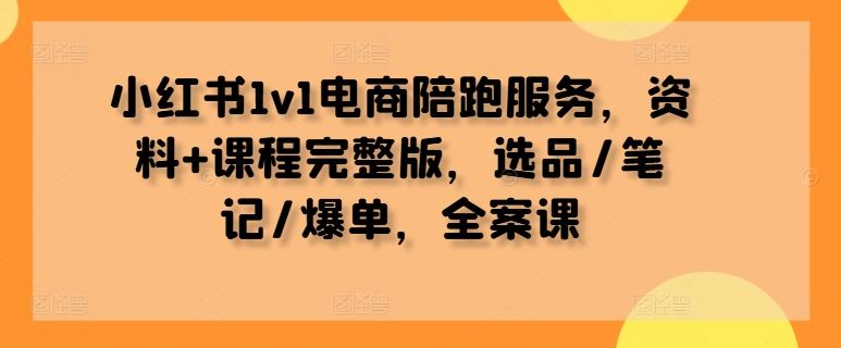 小红书1v1电商陪跑服务，资料+课程完整版，选品/笔记/爆单，全案课-智慧宝库