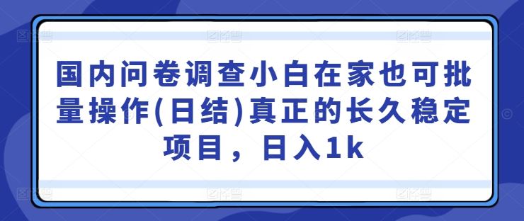 国内问卷调查小白在家也可批量操作(日结)真正的长久稳定项目，日入1k【揭秘】-智慧宝库