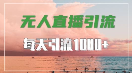 抖音快手视频号全平台通用，无人直播引流法，超暴力引流1000+高质量精准创业粉【揭秘】-智慧宝库