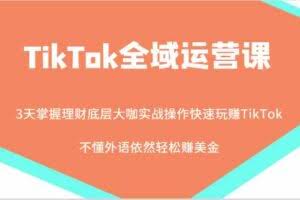 TikTok全域运营课，大咖实战操作快速玩赚TikTok，不懂外语依然轻松赚美金！
