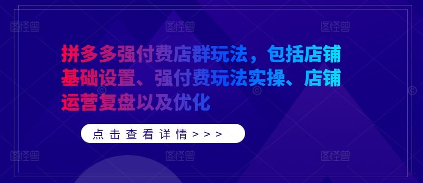 拼多多强付费店群玩法，包括店铺基础设置、强付费玩法实操、店铺运营复盘以及优化-智慧宝库