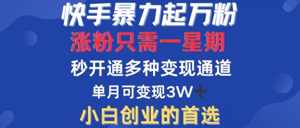 快手暴力起万粉，涨粉只需一星期，多种变现模式，直接秒开万合，单月变现过W【揭秘】-智慧宝库