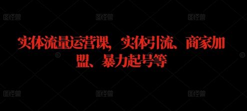 实体流量运营课，实体引流、商家加盟、暴力起号等-吾爱自习网