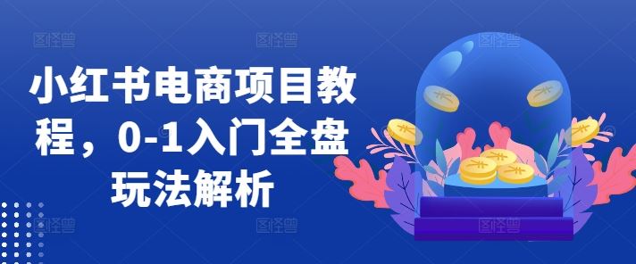 小红书电商项目教程，0-1入门全盘玩法解析-吾爱自习网