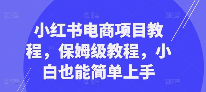 小红书电商项目教程，保姆级教程，小白也能简单上手-智慧宝库