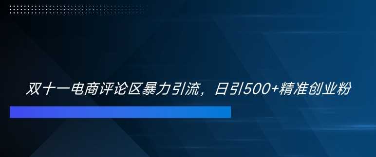 双十一电商评论区暴力引流，日引500+精准创业粉【揭秘】-智慧宝库