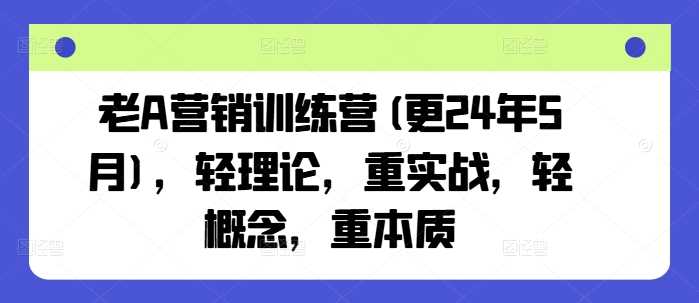 老A营销训练营(更24年10月)，轻理论，重实战，轻概念，重本质-智慧宝库