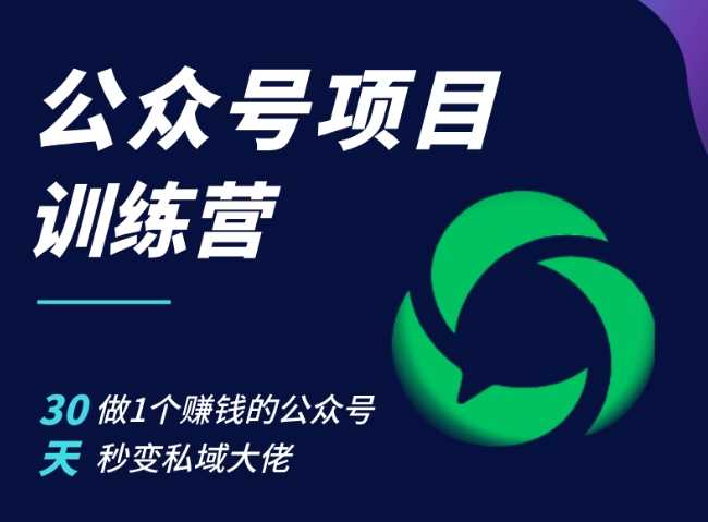 公众号项目训练营，30天做1个赚钱的公众号，秒变私域大佬-智慧宝库