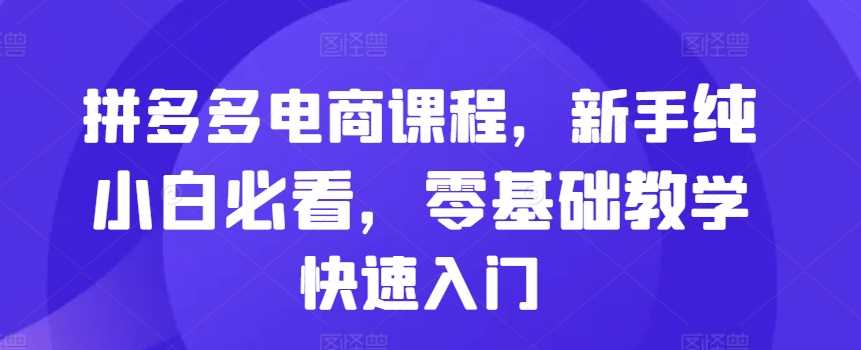 拼多多电商课程，新手纯小白必看，零基础教学快速入门-吾爱自习网