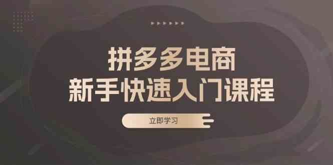 拼多多电商新手快速入门课程：涵盖基础、实战与选款，助力小白轻松上手-牛角知识库